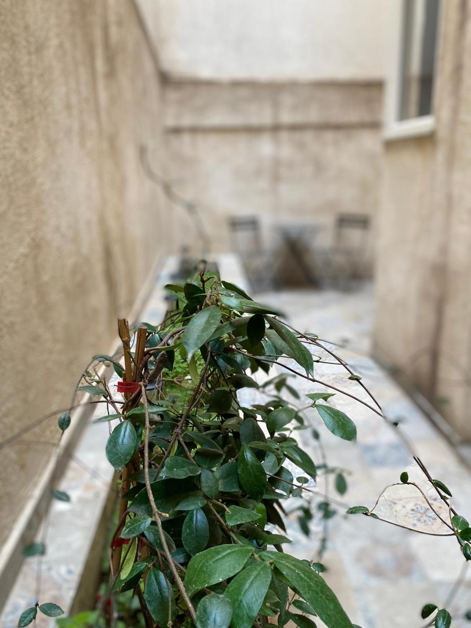 A Place 4 U Below Acropolis Διαμέρισμα Αθήνα Εξωτερικό φωτογραφία